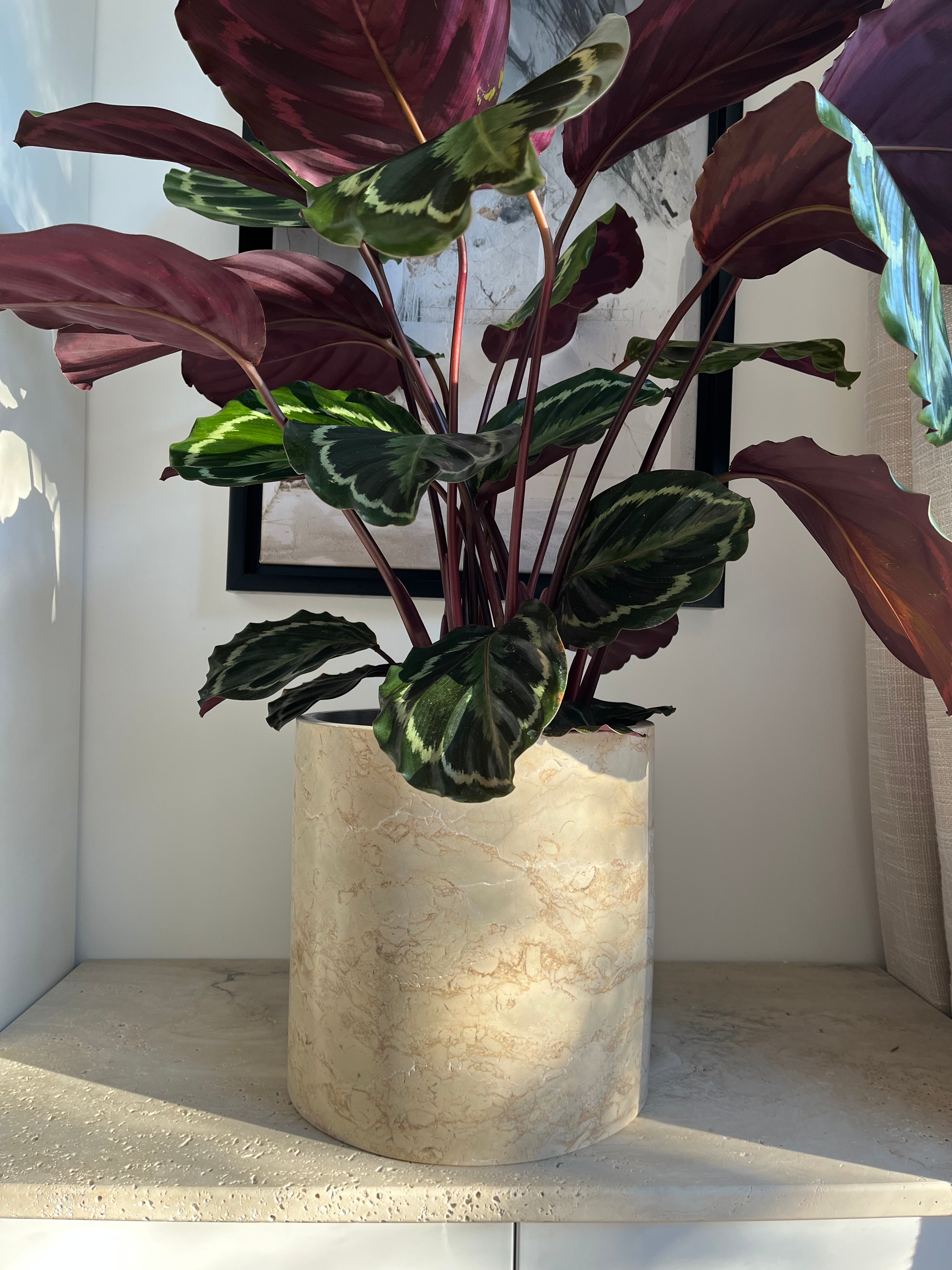 Cache Pot en pierre de david - GIPSY HOME
